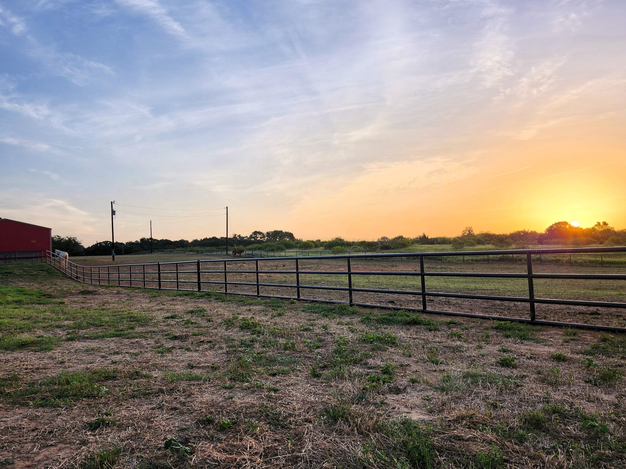 4-rail pipe fence